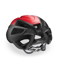 hl65011_03.jpg
