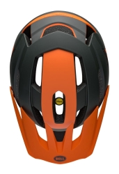 bel-7158249_d.jpg