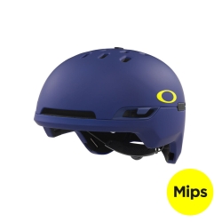 66520.jpg
